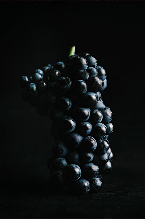 Grappe raisin Gamay