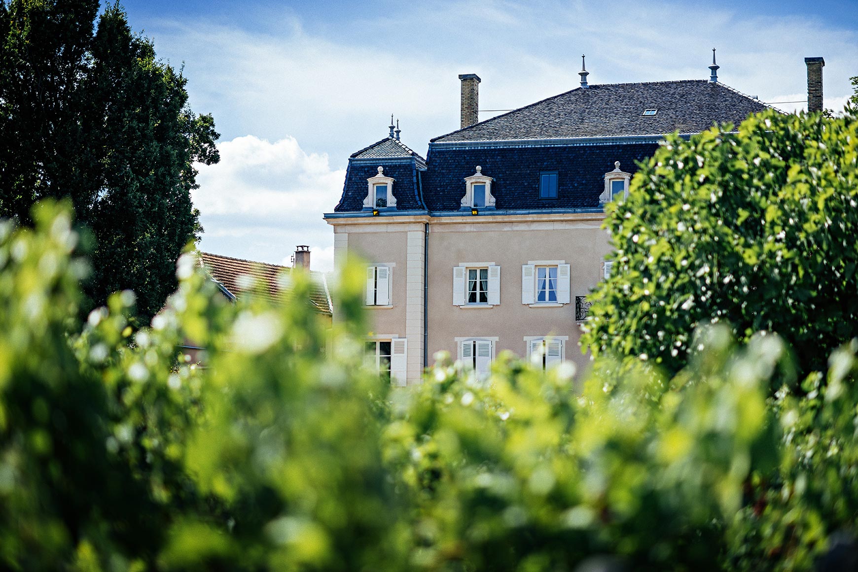 Histoire du Château du Moulin à Vent