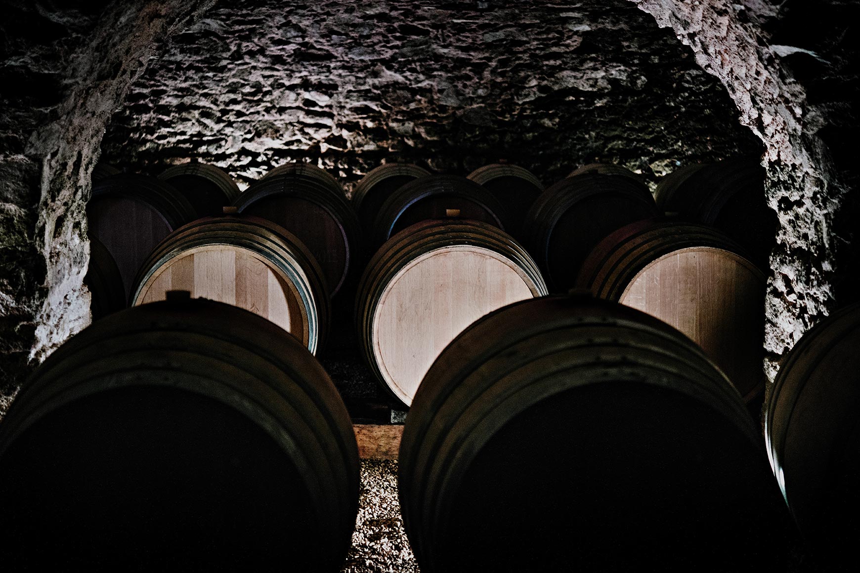 Tonneaux de vins en cave