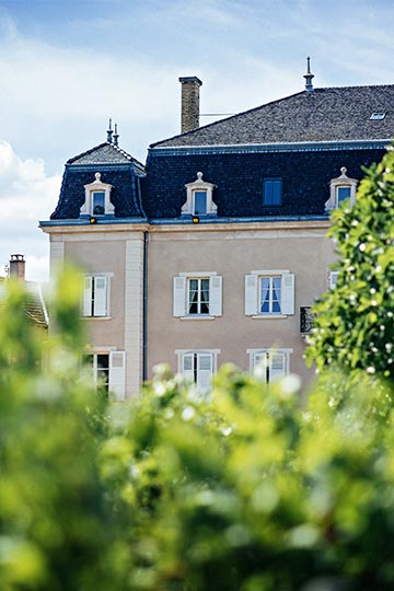 Domaine château du Moulin à vent